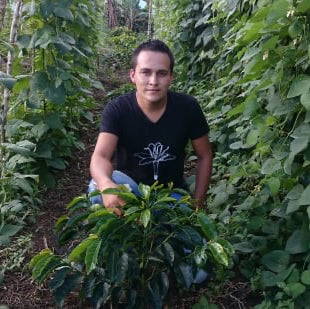 Colombia Don Lisandro