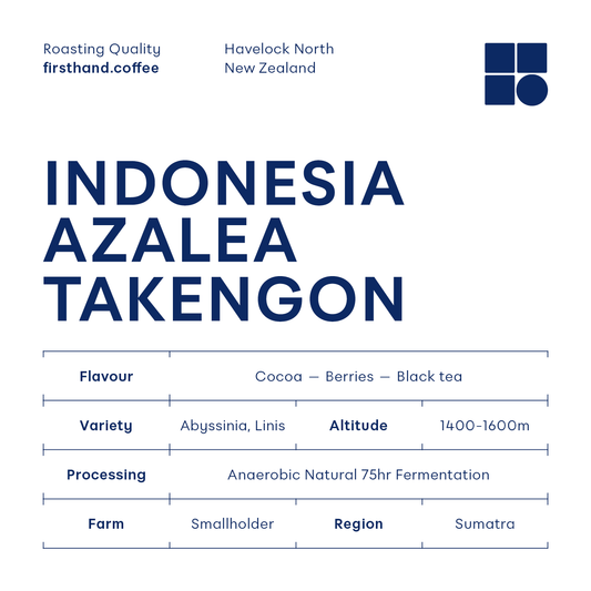 Indonesia Azalea Takengon