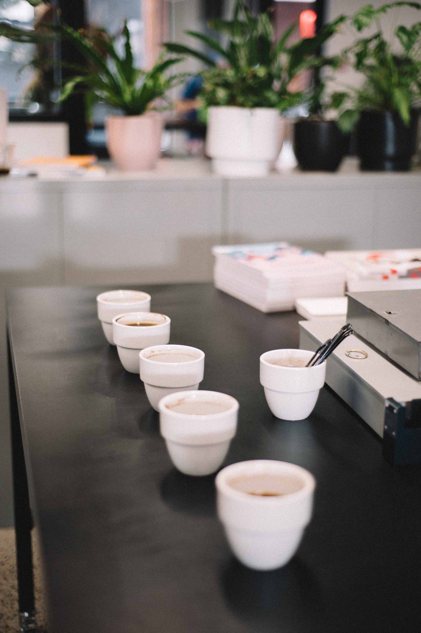 Monthly Cupping Series